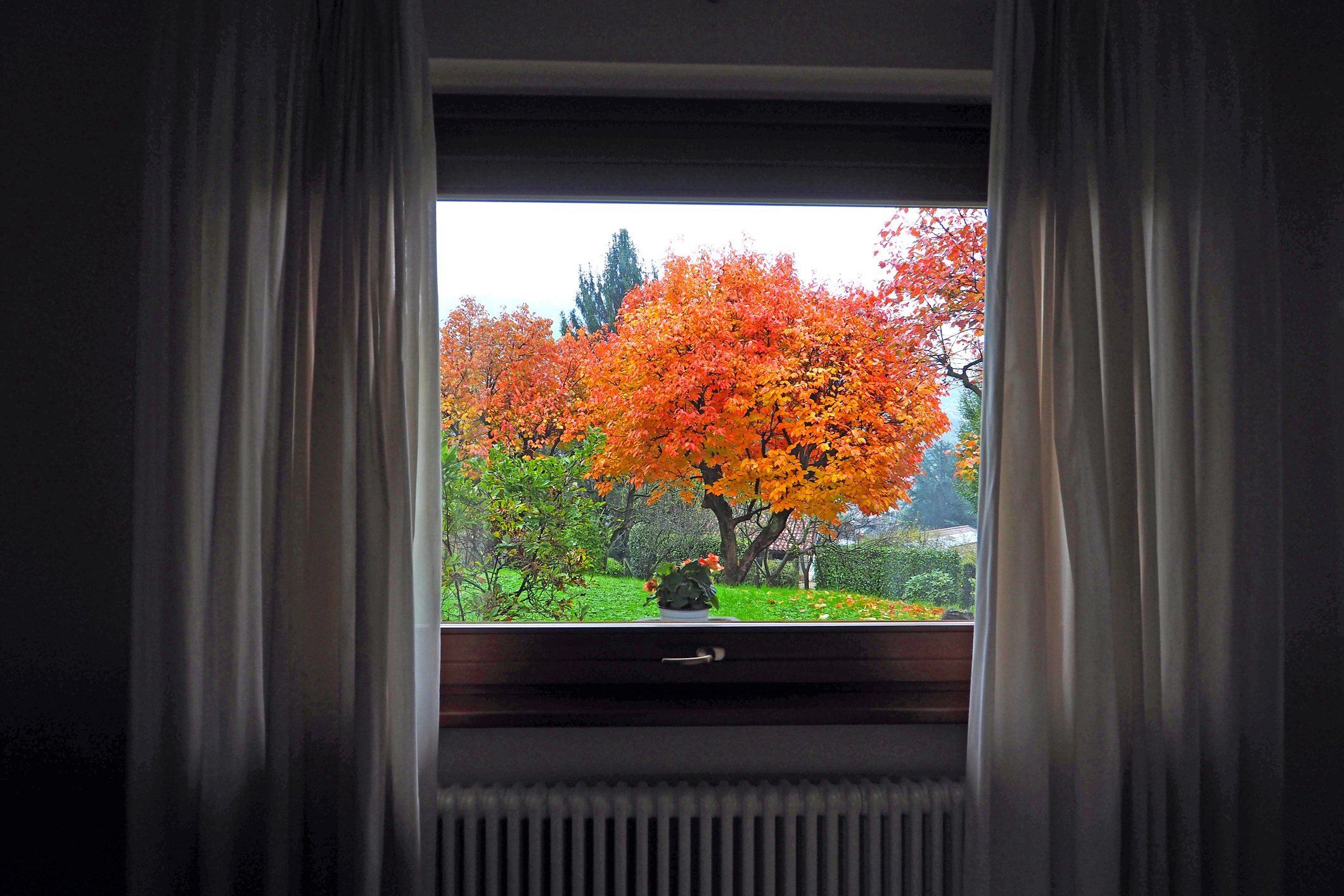 Why Fall is the Best Time to Replace HVAC in St. Paul - Looking out into colorful autumn garden